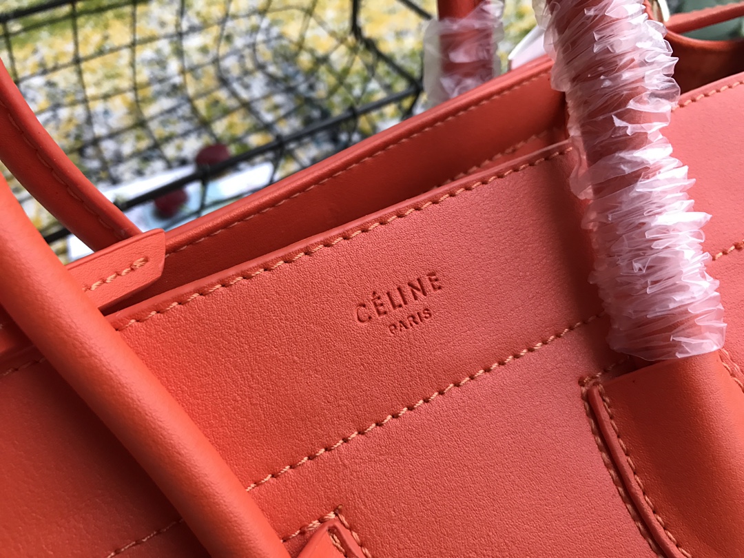 Celine 經典囧臉包 鯰魚包平面紋